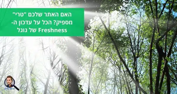 האם האתר שלכם "טרי" מספיק? הכל על עדכון ה-Freshness של גוגל