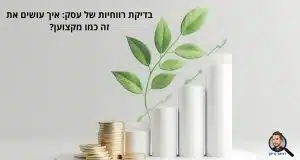 בדיקת רווחיות של עסק: איך עושים את זה כמו מקצוען?