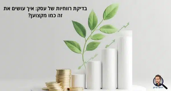 בדיקת רווחיות של עסק: איך עושים את זה כמו מקצוען?